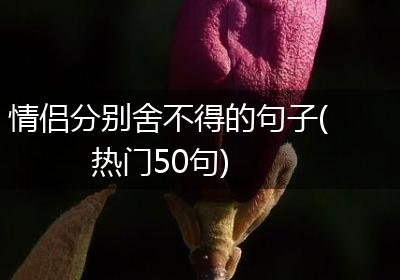 情侣分别舍不得的句子(热门50句)