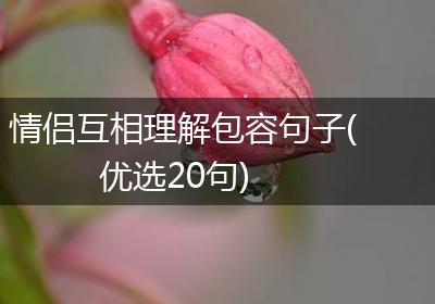 情侣互相理解包容句子(优选20句)