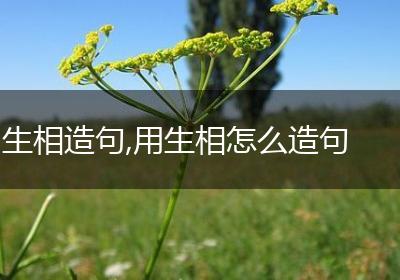 生相造句,用生相怎么造句