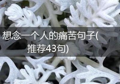 想念一个人的痛苦句子(推荐43句)