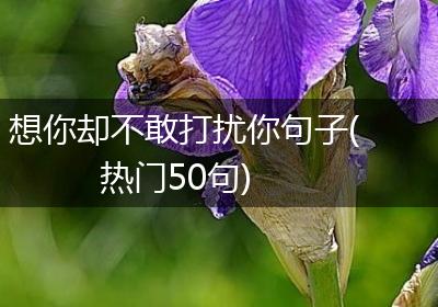 想你却不敢打扰你句子(热门50句)