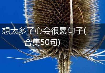 想太多了心会很累句子(合集50句)