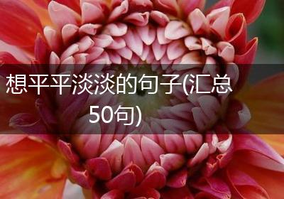 想平平淡淡的句子(汇总50句)