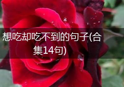 想吃却吃不到的句子(合集14句)