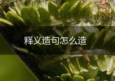 释义造句怎么造