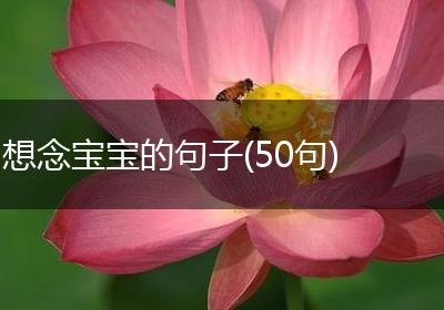 想念宝宝的句子(50句)