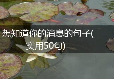 想知道你的消息的句子(实用50句)