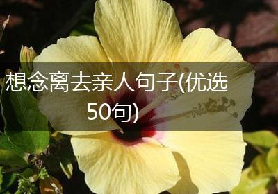 想念离去亲人句子(优选50句)