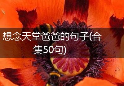 想念天堂爸爸的句子(合集50句)