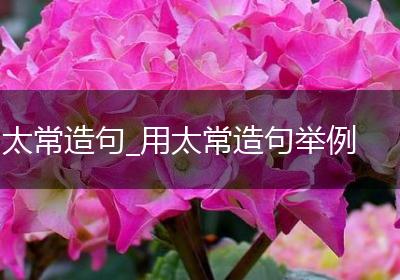 太常造句_用太常造句举例