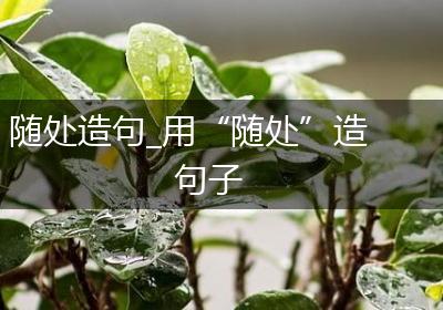 随处造句_用“随处”造句子