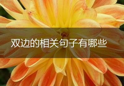 双边的相关句子有哪些