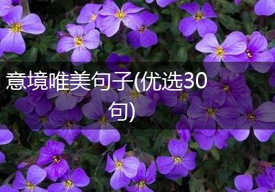 意境唯美句子(优选30句)