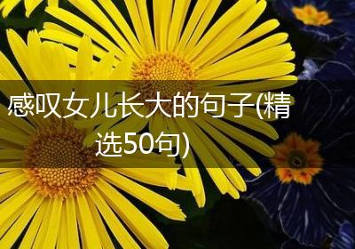 感叹女儿长大的句子(精选50句)