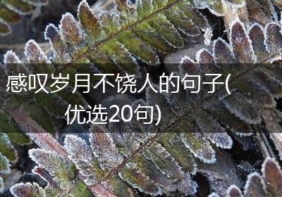 感叹岁月不饶人的句子(优选20句)