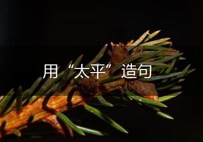用“太平”造句