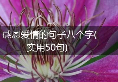 感恩爱情的句子八个字(实用50句)