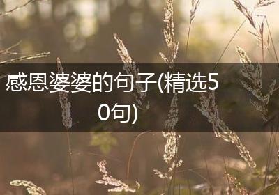感恩婆婆的句子(精选50句)