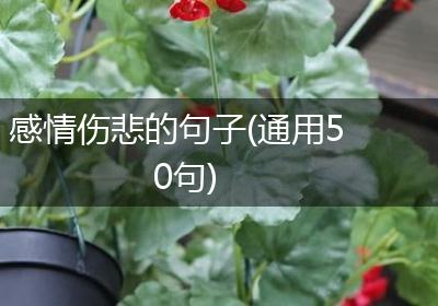 感情伤悲的句子(通用50句)