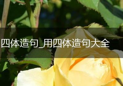 四体造句_用四体造句大全