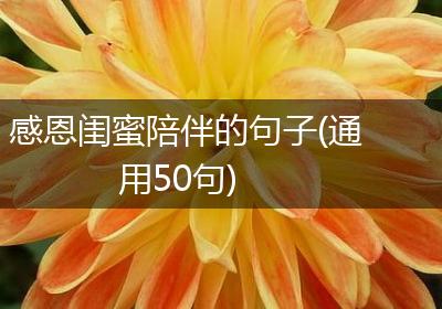 感恩闺蜜陪伴的句子(通用50句)