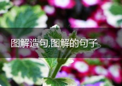 图解造句,图解的句子