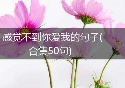 感觉不到你爱我的句子(合集50句)