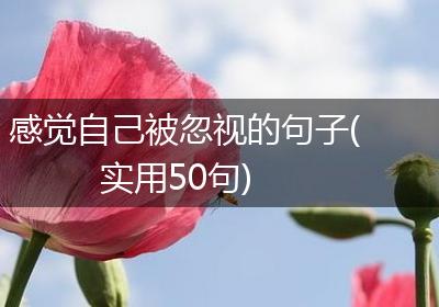 感觉自己被忽视的句子(实用50句)