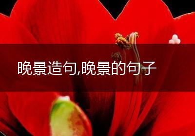 晚景造句,晚景的句子