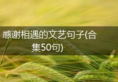 感谢相遇的文艺句子(合集50句)