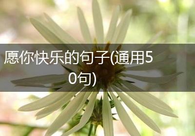 愿你快乐的句子(通用50句)