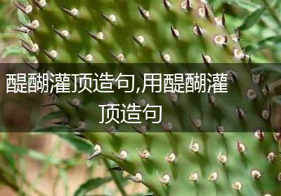 醍醐灌顶造句,用醍醐灌顶造句