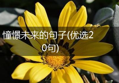 憧憬未来的句子(优选20句)