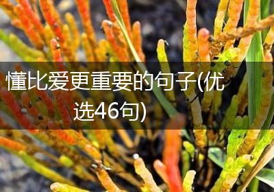 懂比爱更重要的句子(优选46句)