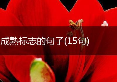 成熟标志的句子(15句)