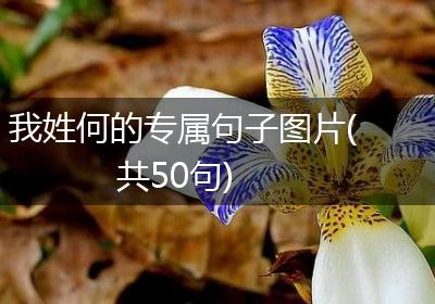 我姓何的专属句子图片(共50句)