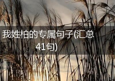 我姓柏的专属句子(汇总41句)