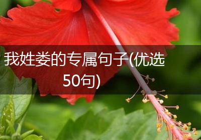 我姓娄的专属句子(优选50句)
