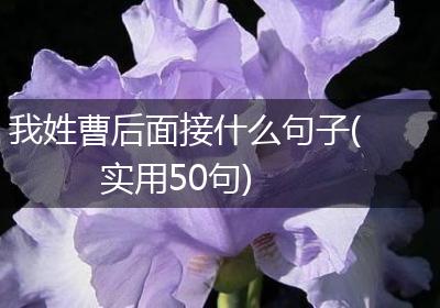 我姓曹后面接什么句子(实用50句)