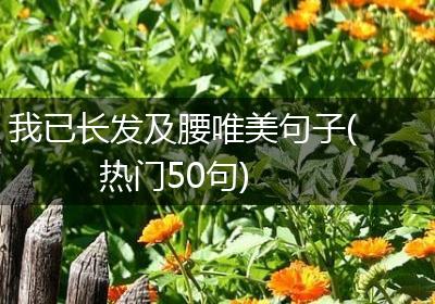 我已长发及腰唯美句子(热门50句)