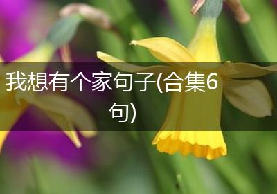 我想有个家句子(合集6句)