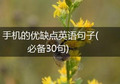 手机的优缺点英语句子(必备30句)