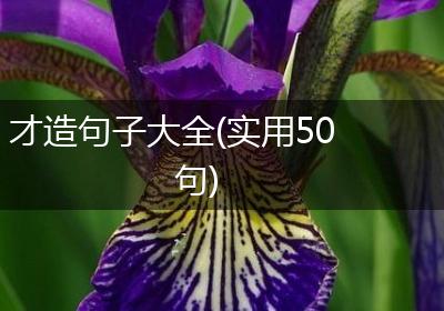 才造句子大全(实用50句)
