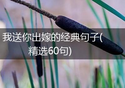 我送你出嫁的经典句子(精选60句)