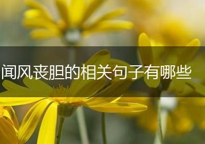 闻风丧胆的相关句子有哪些