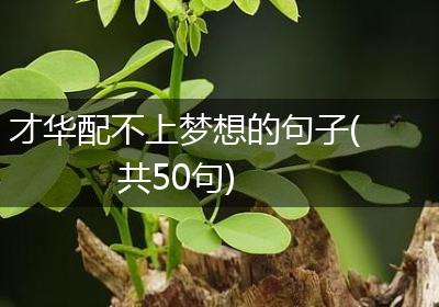 才华配不上梦想的句子(共50句)