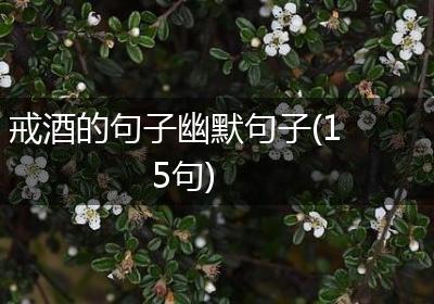 戒酒的句子幽默句子(15句)