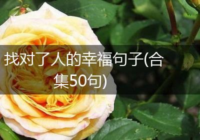 找对了人的幸福句子(合集50句)
