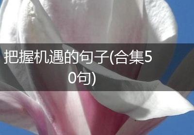 把握机遇的句子(合集50句)