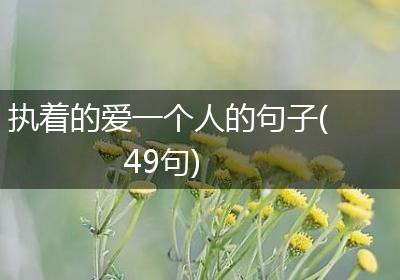 执着的爱一个人的句子(49句)